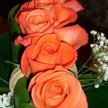 Схема вышивки «№487164»