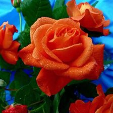 Схема вышивки «№487171»