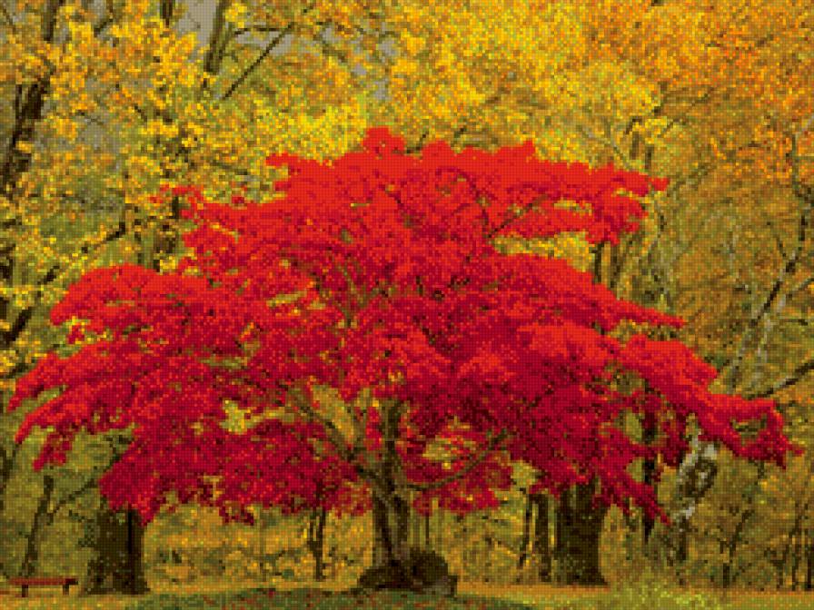Осенее дерево - осень, дерево, лес - предпросмотр