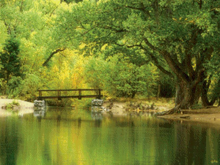 Лесная река - река, дерево, мостик, лес, мост - предпросмотр