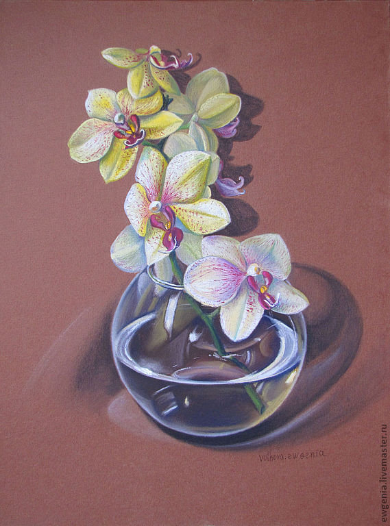орхидея - орхидея, ваза, цветы - оригинал