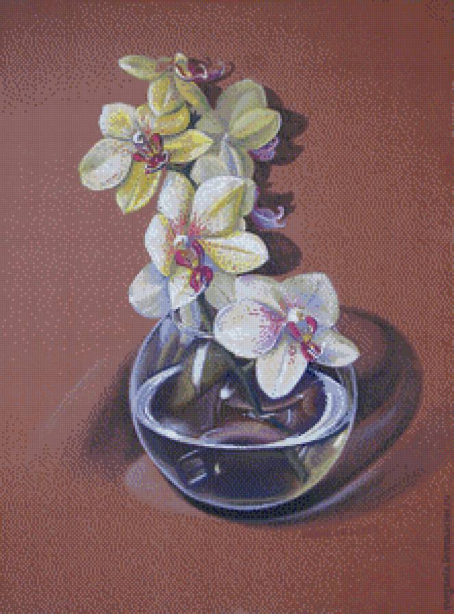 орхидея - ваза, орхидея, цветы - предпросмотр
