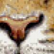 Предпросмотр схемы вышивки «взгляд хищника» (№487313)