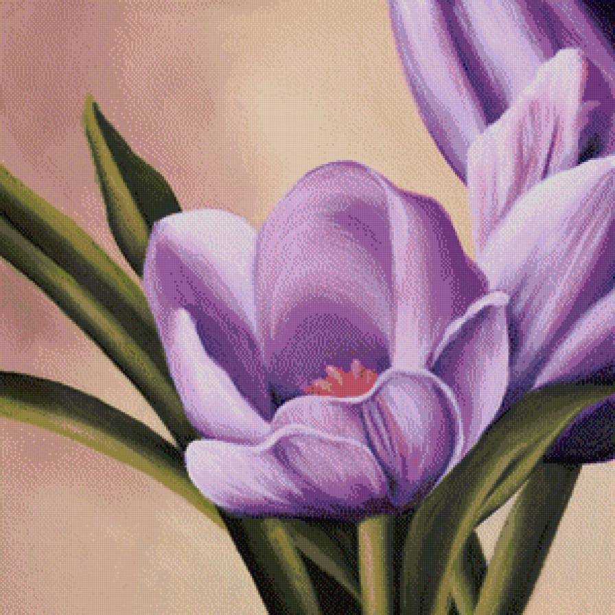 тюльпаны - цветы, тюльпан - предпросмотр