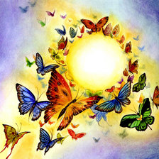 Схема вышивки «хоровод бабочек»