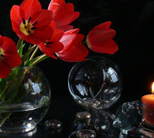 Оригинал схемы вышивки «натюрморт с тюльпанами» (№487476)