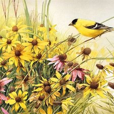 Схема вышивки «Летний сад»