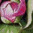 Предпросмотр схемы вышивки «Пионы» (№487506)