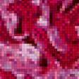 Предпросмотр схемы вышивки «хризантема» (№487529)