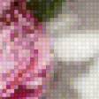 Предпросмотр схемы вышивки «Этюд в розовых тонах» (№487544)