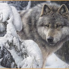 Схема вышивки «Зимний волк»
