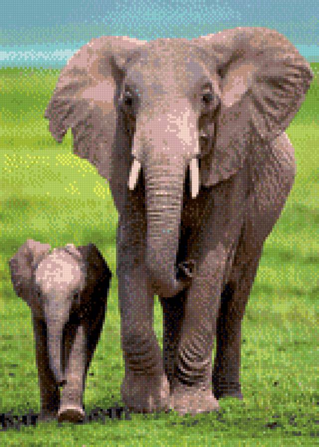 Слоны - слон, слоны, саванна, африка - предпросмотр