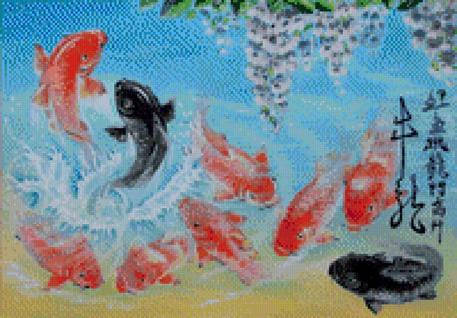 9 карпов - 9 карпов, карпы, рыбы - предпросмотр