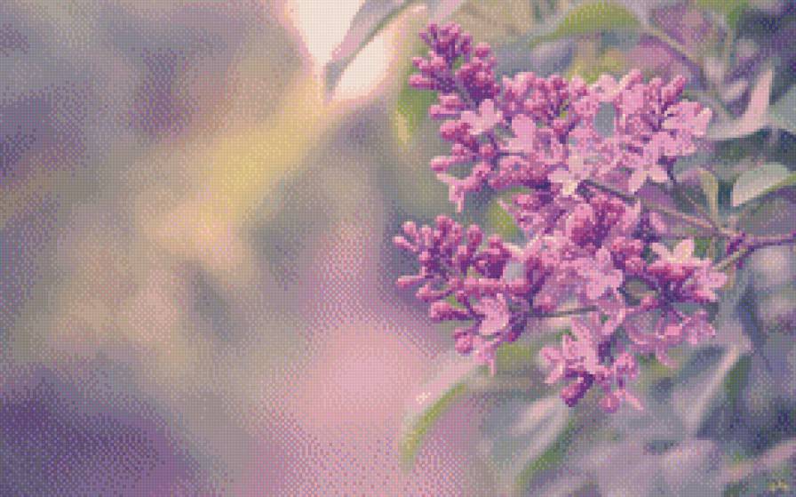 №487787 - предпросмотр