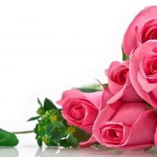 Схема вышивки «Розы»