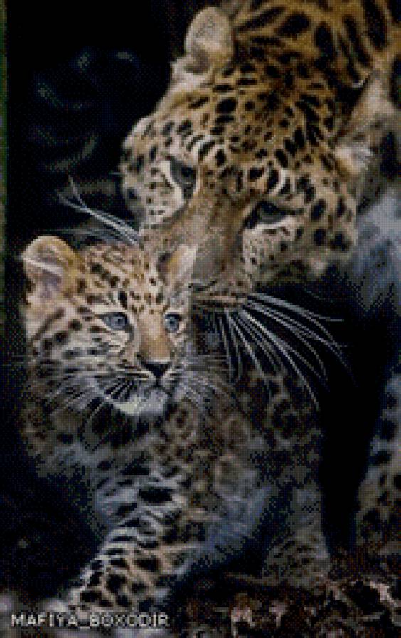 Мама и дитя - леопард, детеныш - предпросмотр