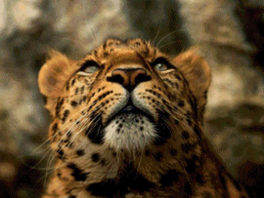 Невинный взгляд*2 - природа, лес, леопард - предпросмотр