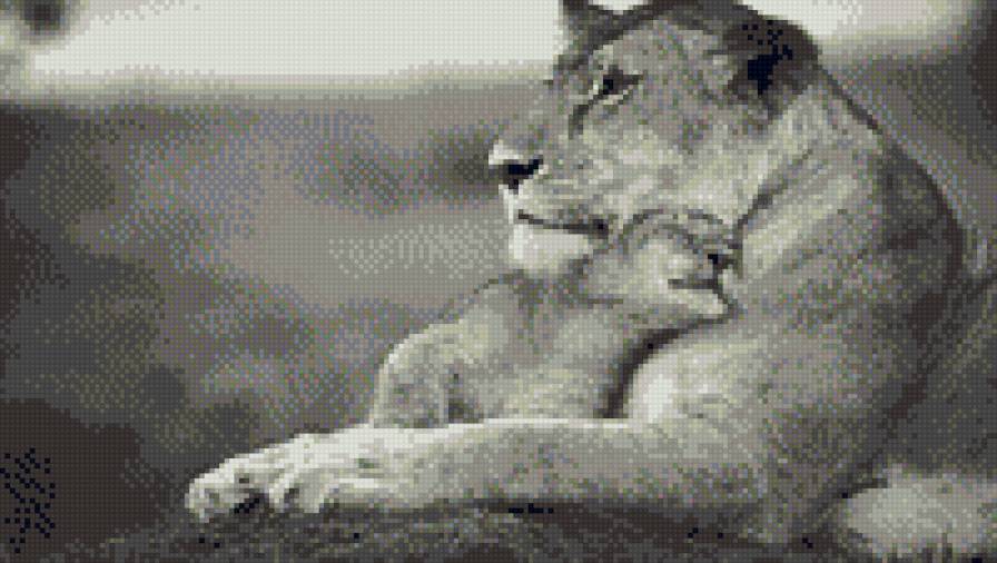 Ласка - животные, львы - предпросмотр