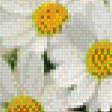 Предпросмотр схемы вышивки «Ромашки» (№488018)