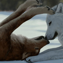 Схема вышивки «Couple of wolves»