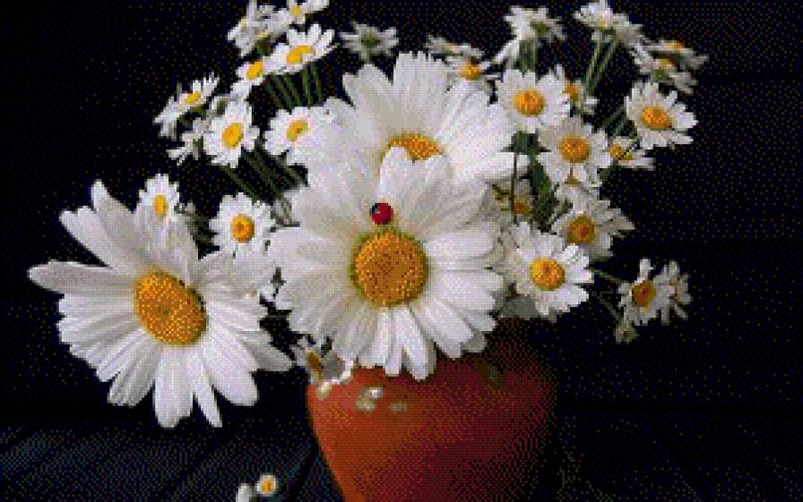 букет - букет, цветы - предпросмотр