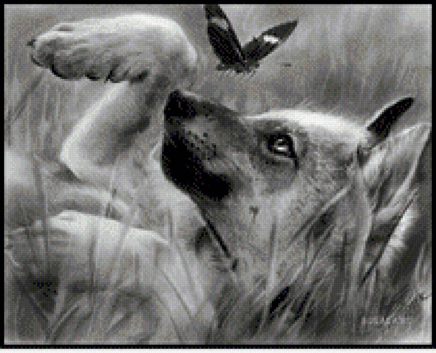 Щенок - собака - предпросмотр