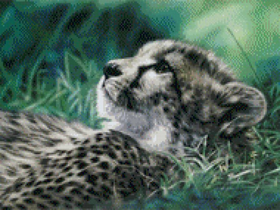 0161 - картина, кошка, красота, природа, лето, животные, кошки, леопард - предпросмотр