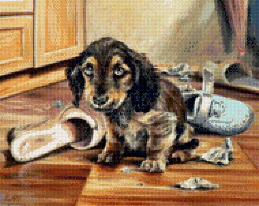 0163 - природа, животные, собаки, собака, картина, красота, щенок - предпросмотр