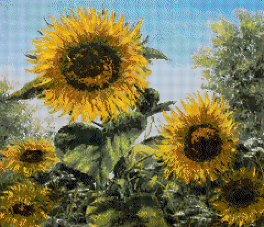 "Подсолнухи" Синев Е. - предпросмотр