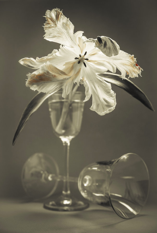 №488302 - оригинал