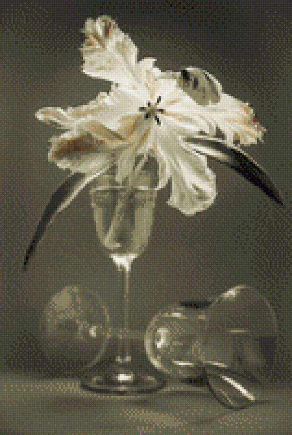 №488302 - предпросмотр