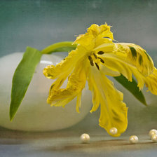 Схема вышивки «№488308»