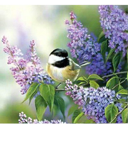 №488490 - оригинал