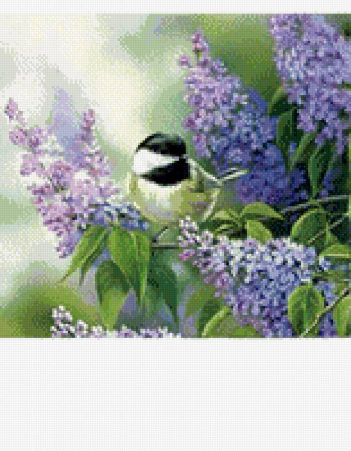 №488490 - предпросмотр