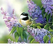 Схема вышивки «№488490»