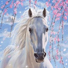 белая лошадка