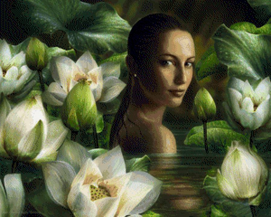 №488852 - предпросмотр