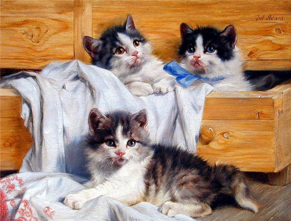 игривые котята - друг, любимец, животное, кот, котята - оригинал