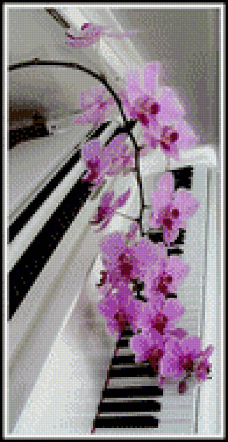 Цветочная фантазия - фортепиано, пианино, орхидея, рояль, цветы - предпросмотр
