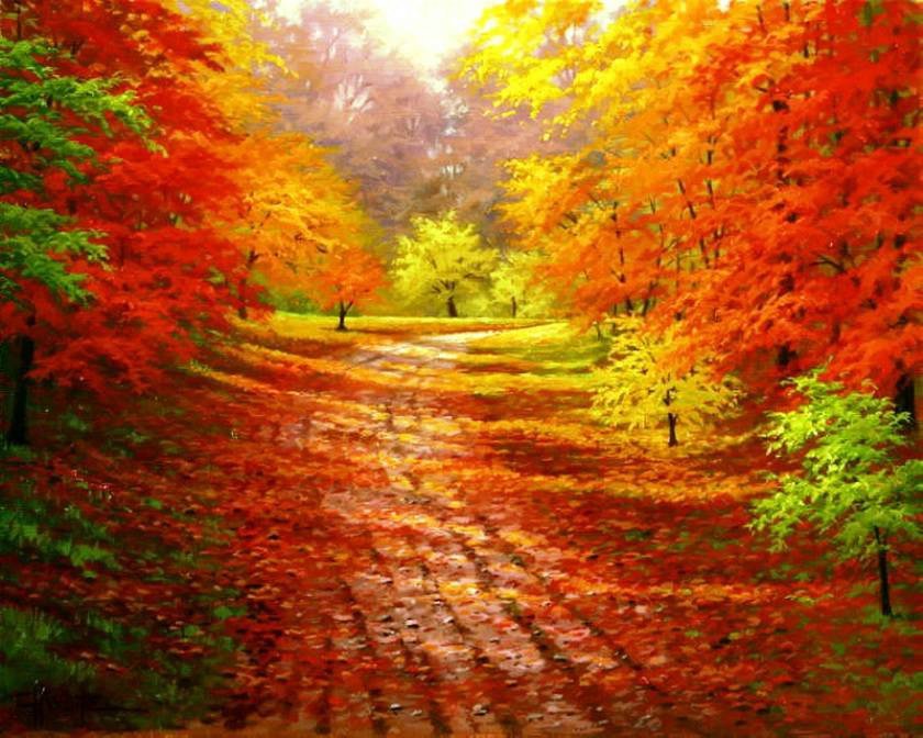 солнечная осень - краски, осень, природа, пейзаж, солнце - оригинал