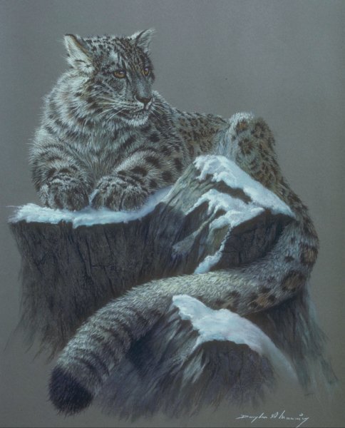 барс - оригинал