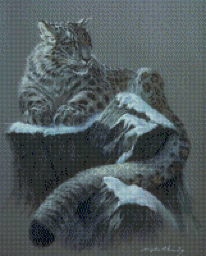 барс - предпросмотр