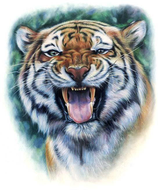 тигр - рык, оскал, живопись, хищник, взгляд - оригинал