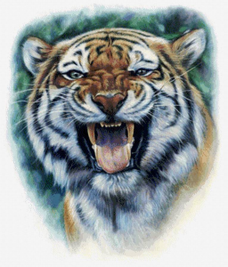 тигр - рык, оскал, взгляд, хищник, живопись - предпросмотр