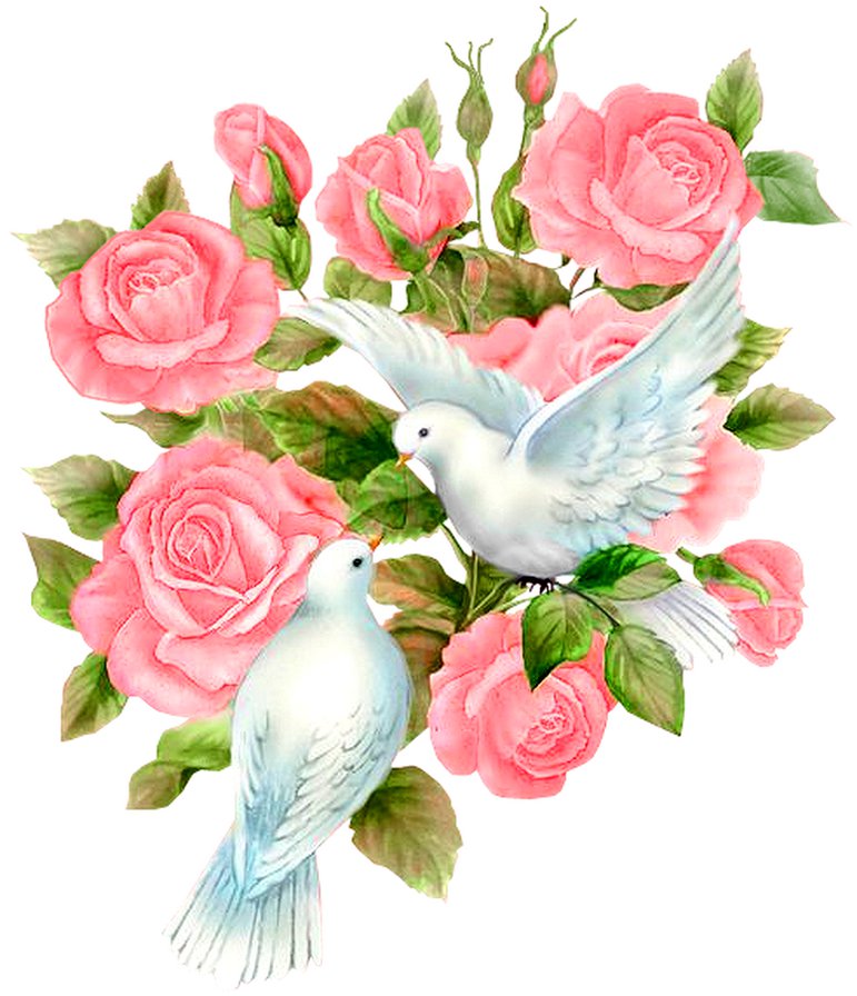 пара голубков - цветы, розы, птицы, букет, любовь - оригинал