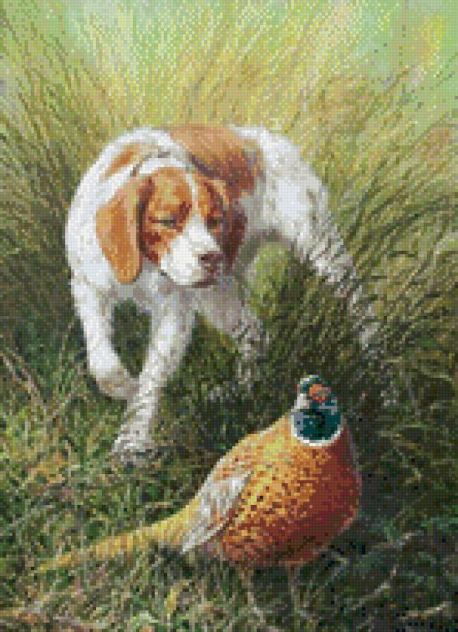 охота - предпросмотр