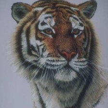 Схема вышивки «тигр»