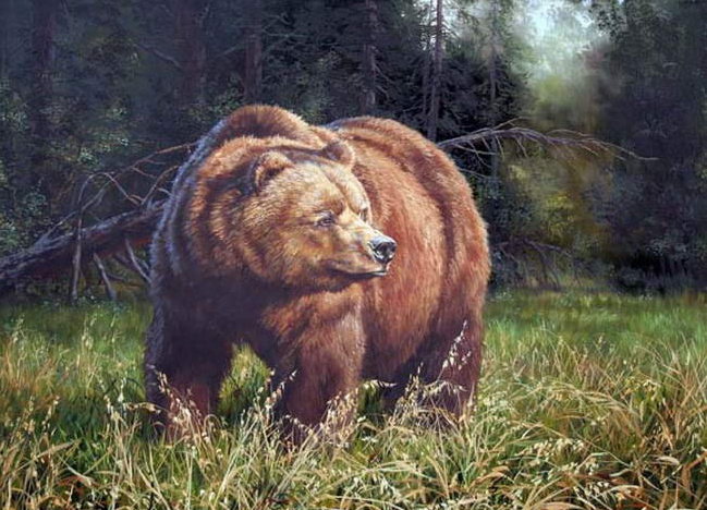 бурый медведь - оригинал