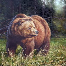 Схема вышивки «бурый медведь»