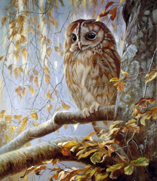 совушка - оригинал